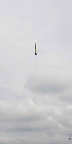 2013 Svojek Mirek Topinka